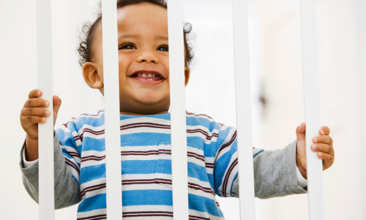 Baby Gate