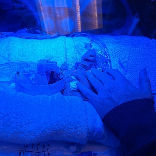 Incubator