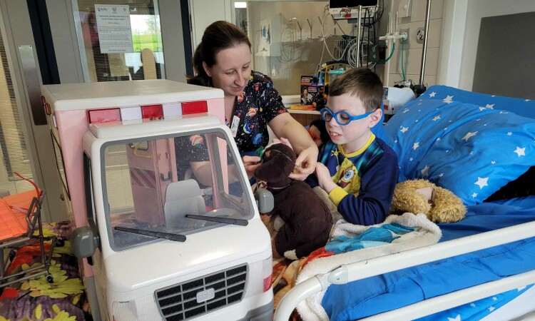 TeddyHospital